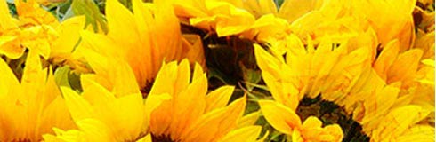 Natursteinheizung Header